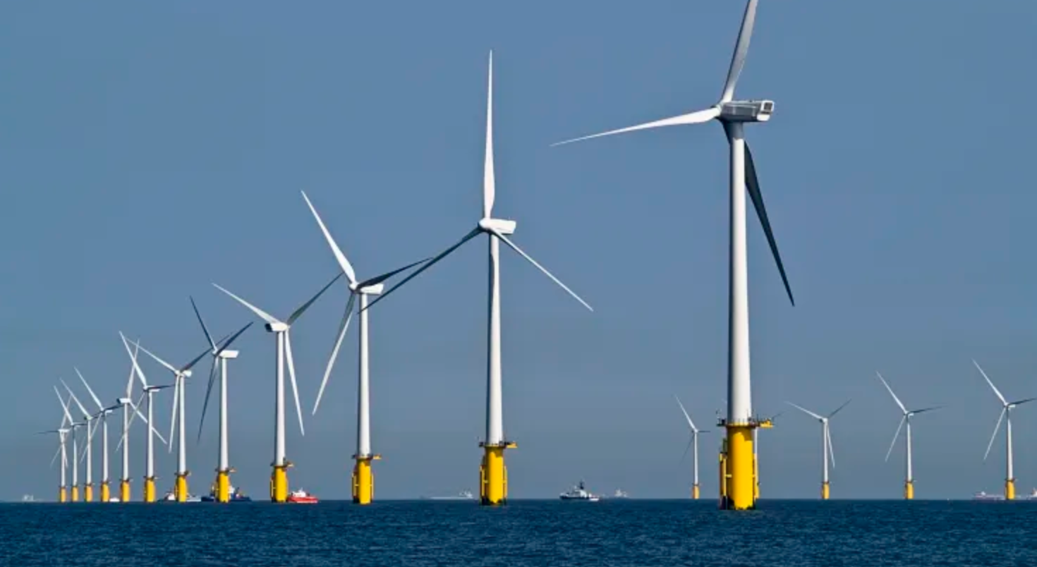 Offshore Wind and Marine Life: Is Renewable Wind Energy Safe For Ocean Ecosystems?